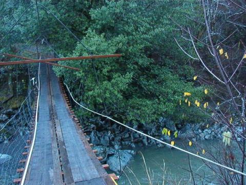 Upper Floras Creek bridge- summer level